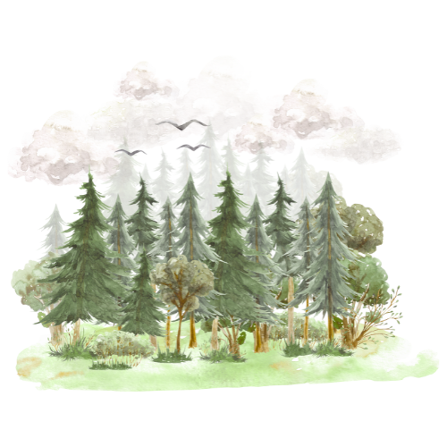 About TopAuroray.click